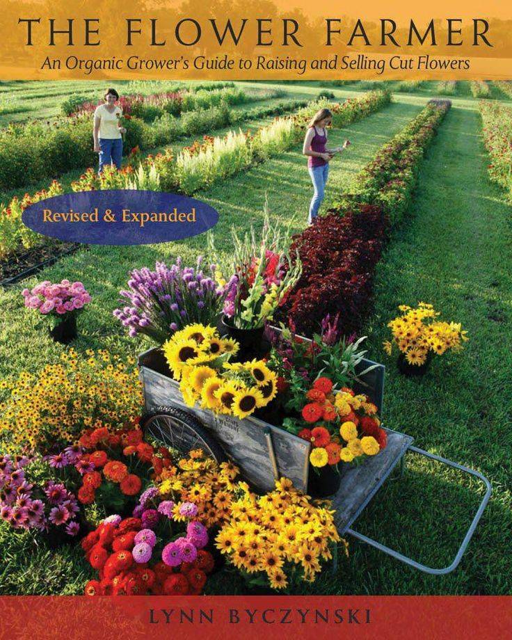 Vegetable Gardening For Beginners Guide Plant Instructions