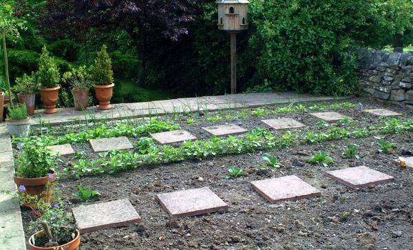 Vegetable Gardening