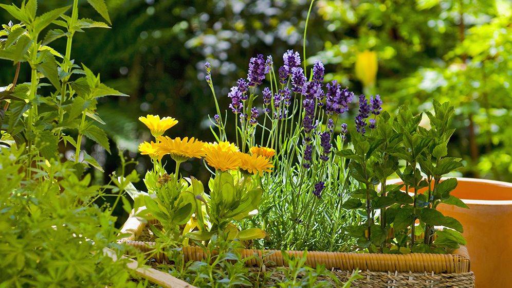 Beautiful Diy Flower Garden Ideas Design