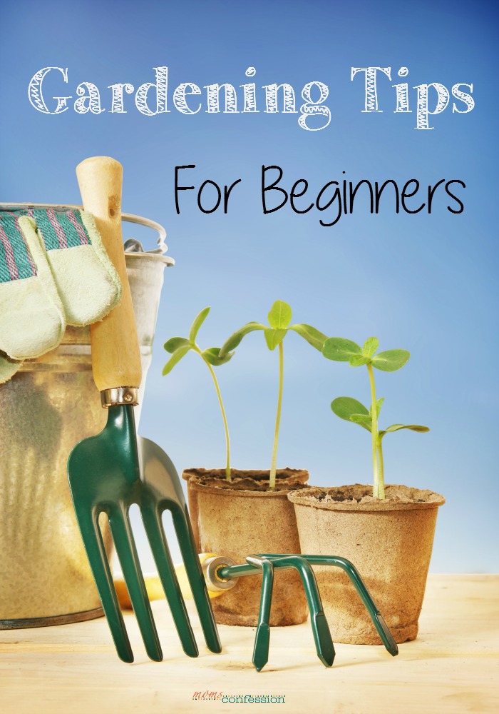 Beginner Gardeners