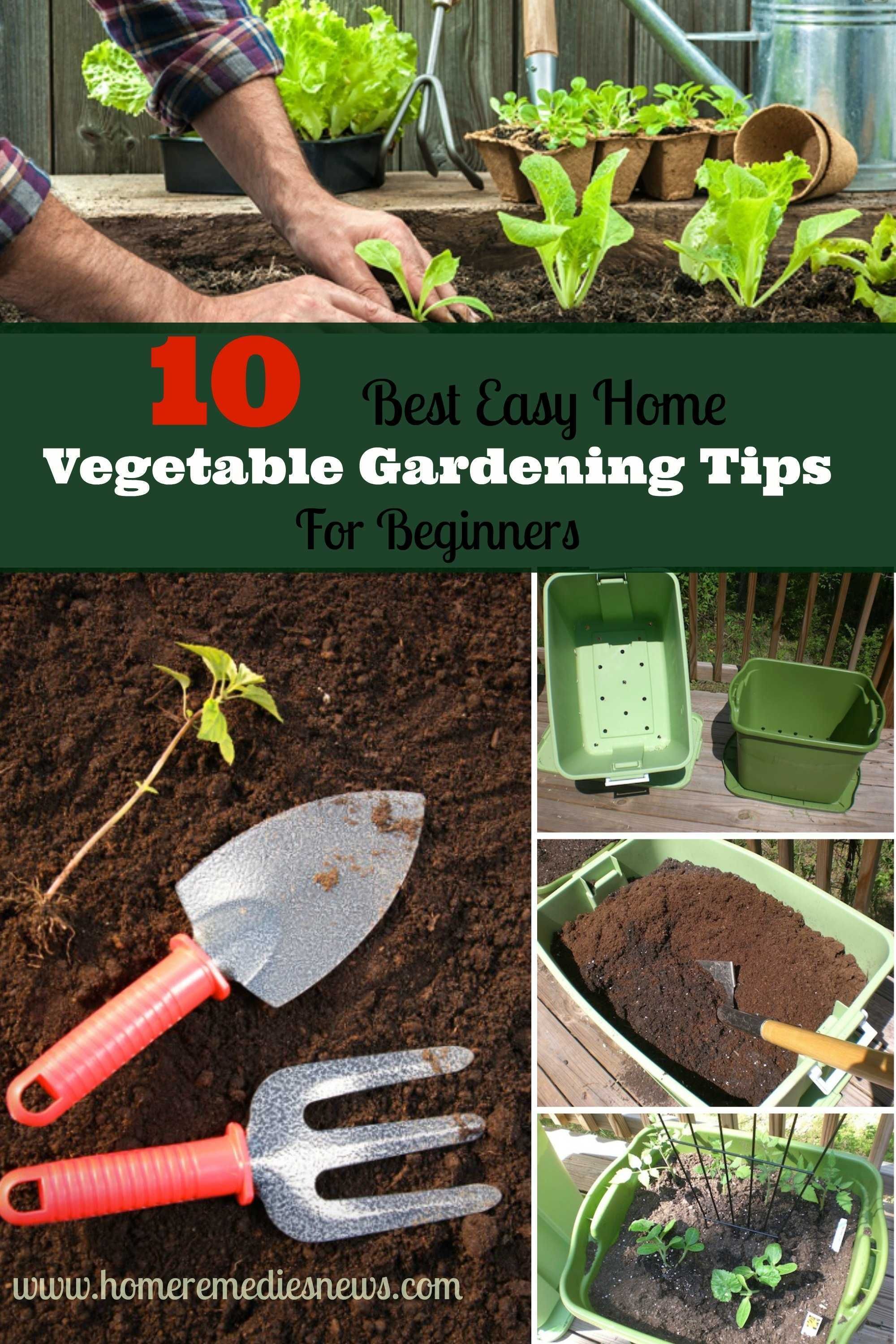 Gardening Tips