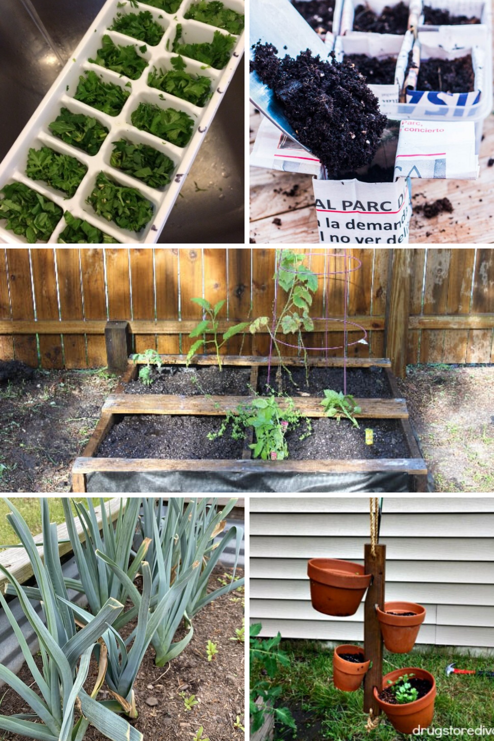 Vegetable Gardening For Beginners Guide Plant Instructions