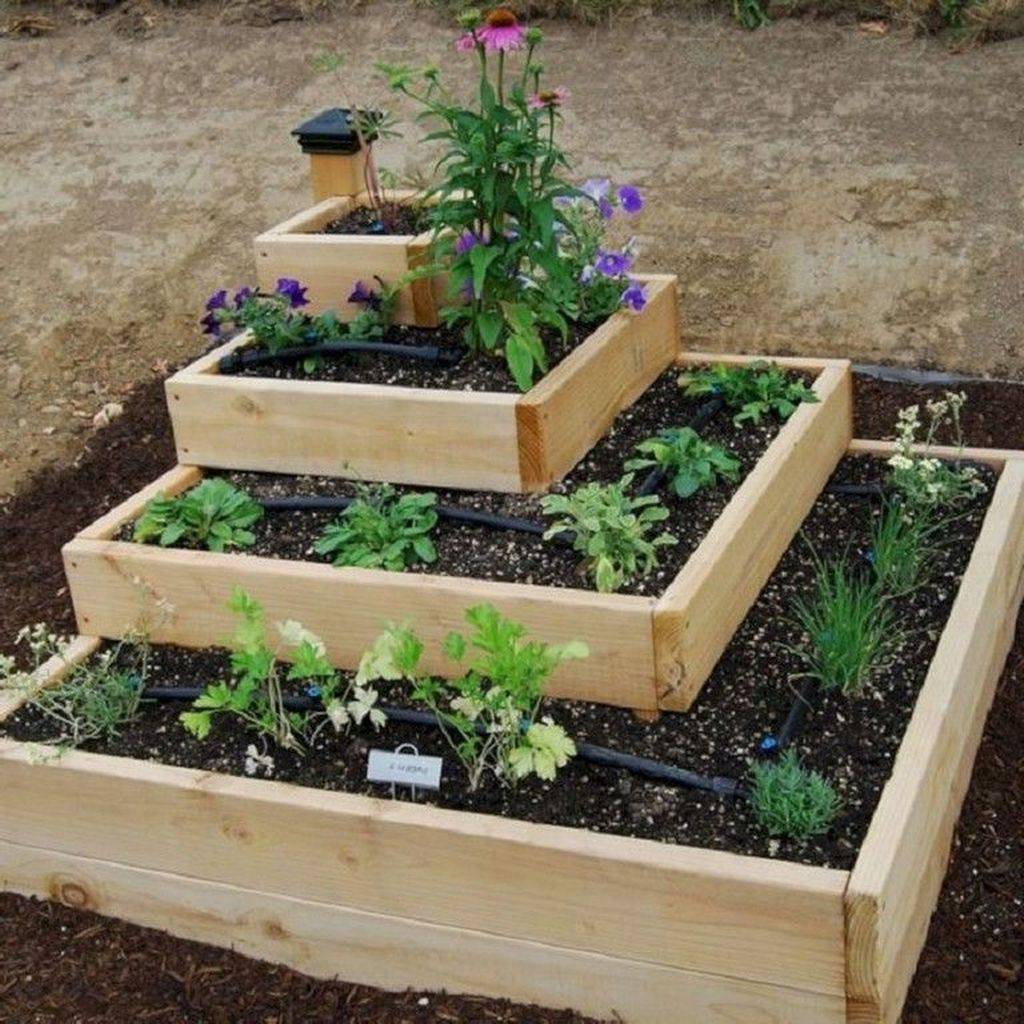 Vegetable Gardening