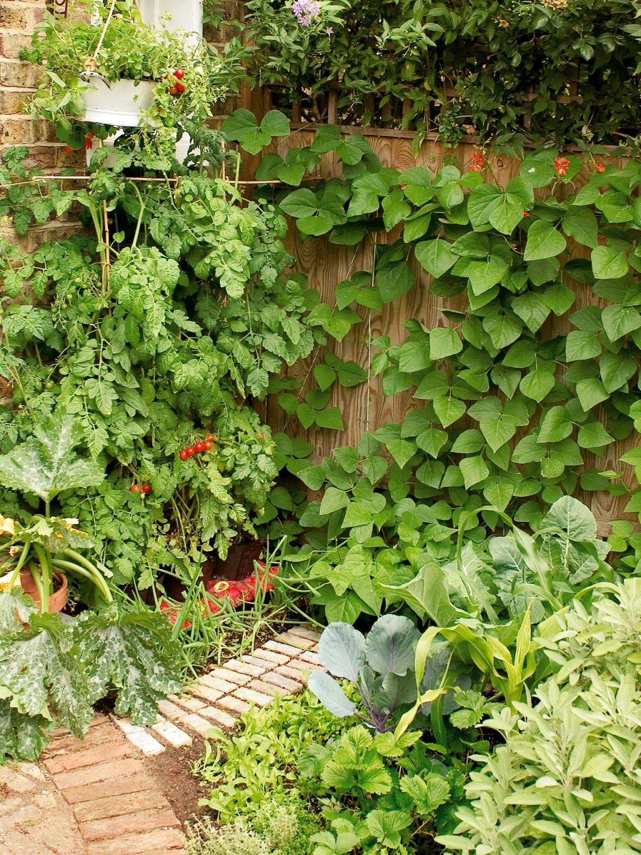 Great Vegetable Garden Ideas