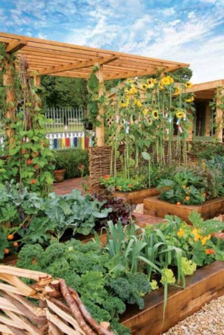 Impressive Vegetable Garden Designs