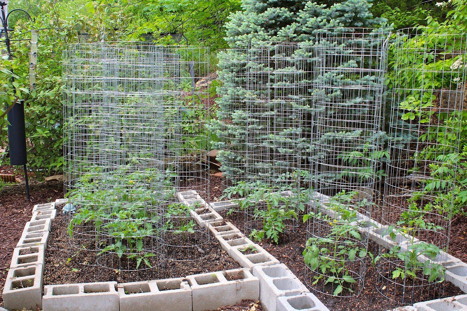 Easy Vegetable Garden Layout Ideas