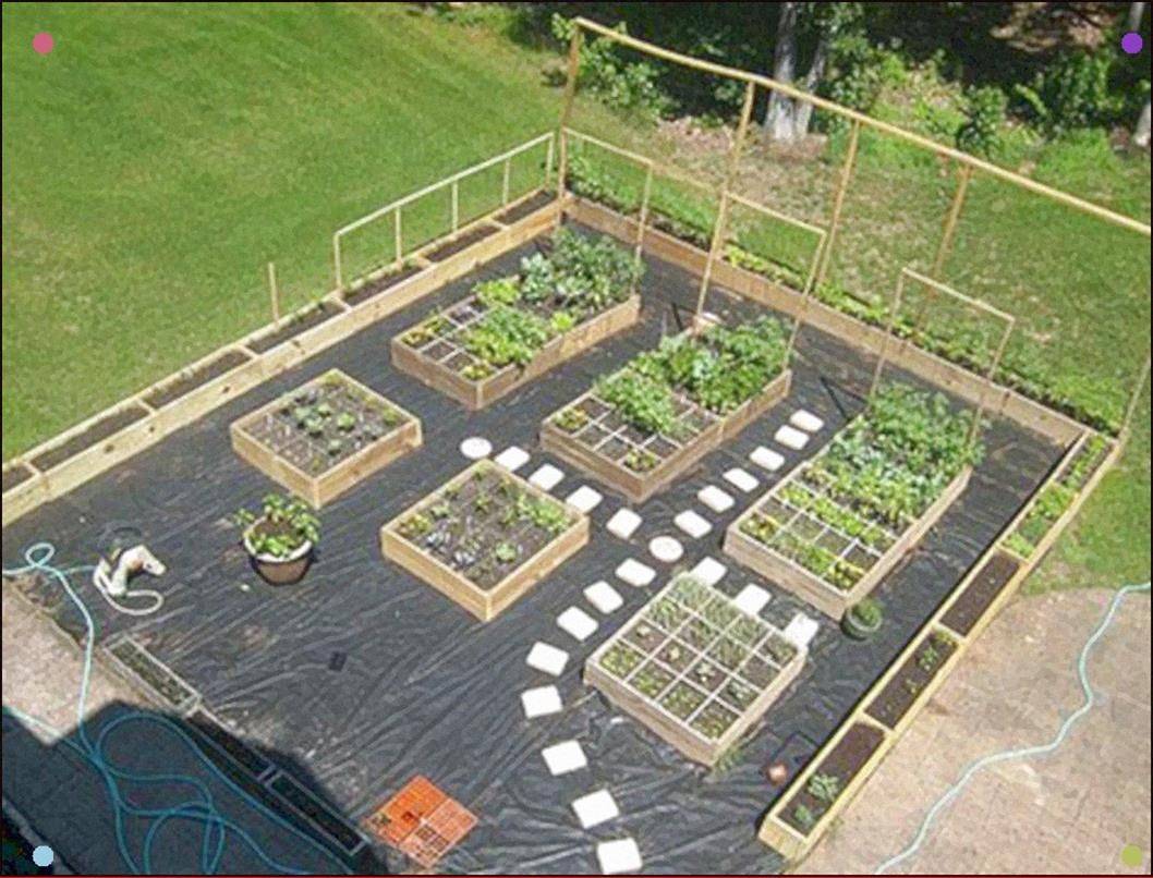 Easy Vegetable Garden Layout Ideas For Beginner Decoredo