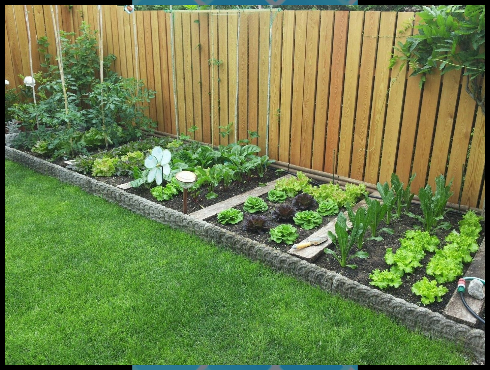 Vegetable Garden Drawing