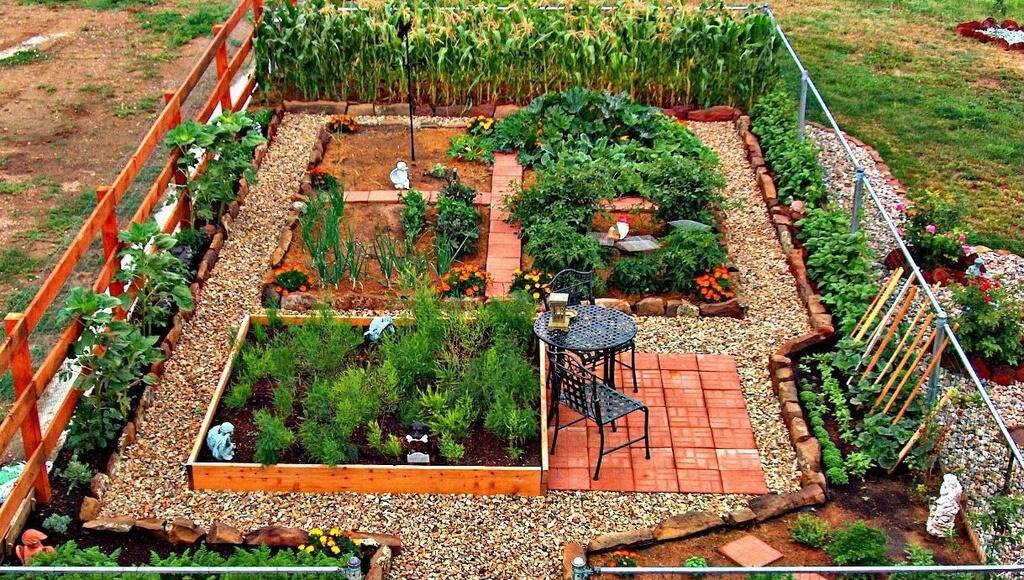 Advantageous Small Vegetable Garden Ideas