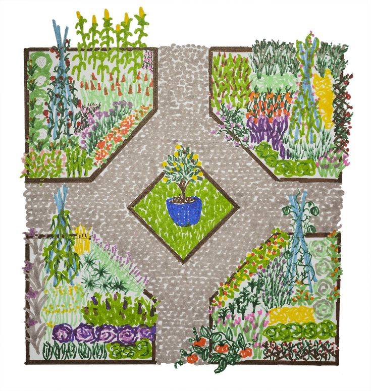 Drawing Family Vegetable Garden