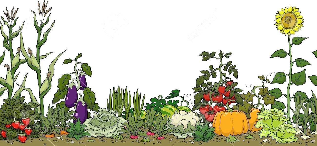 Raised Bed Vegetable Garden Design Plans