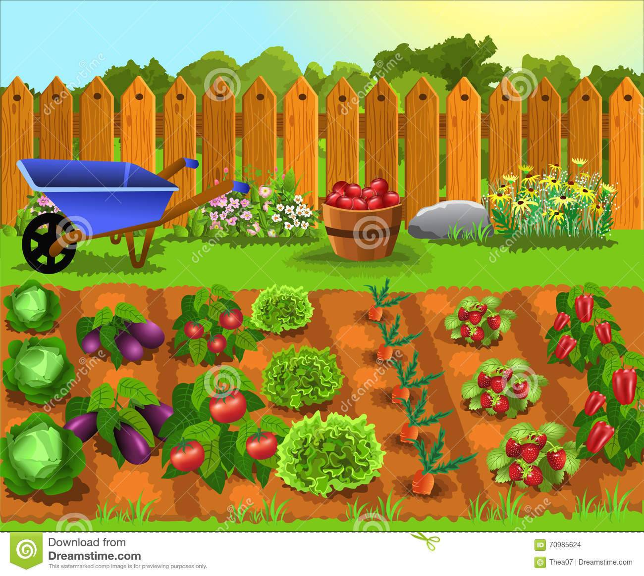 Vegetable Garden Plans