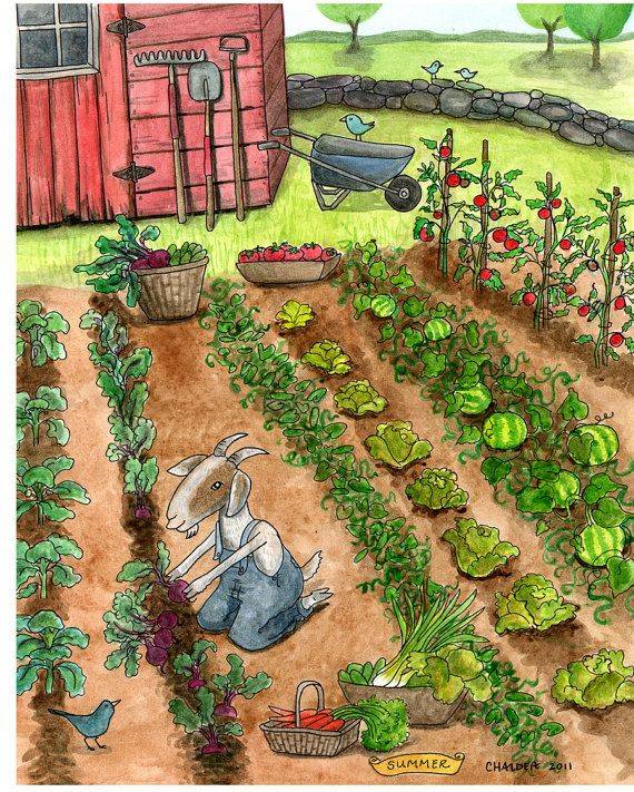 Vegetable Garden Sketch