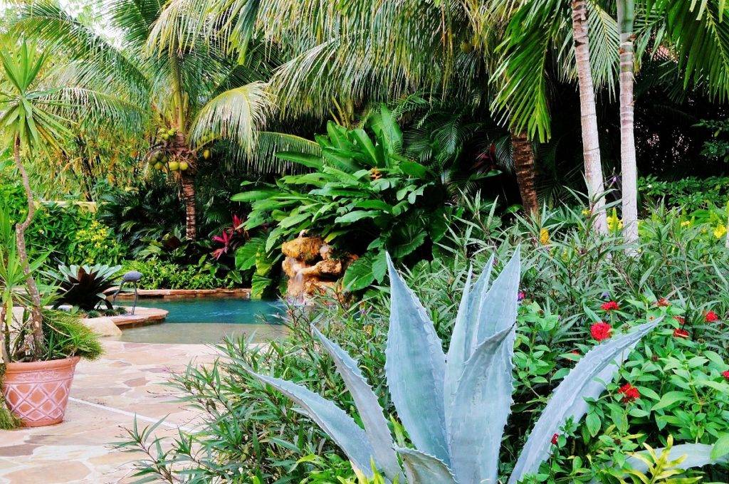 Bunce Residence Tropical Landscape Hawaii
