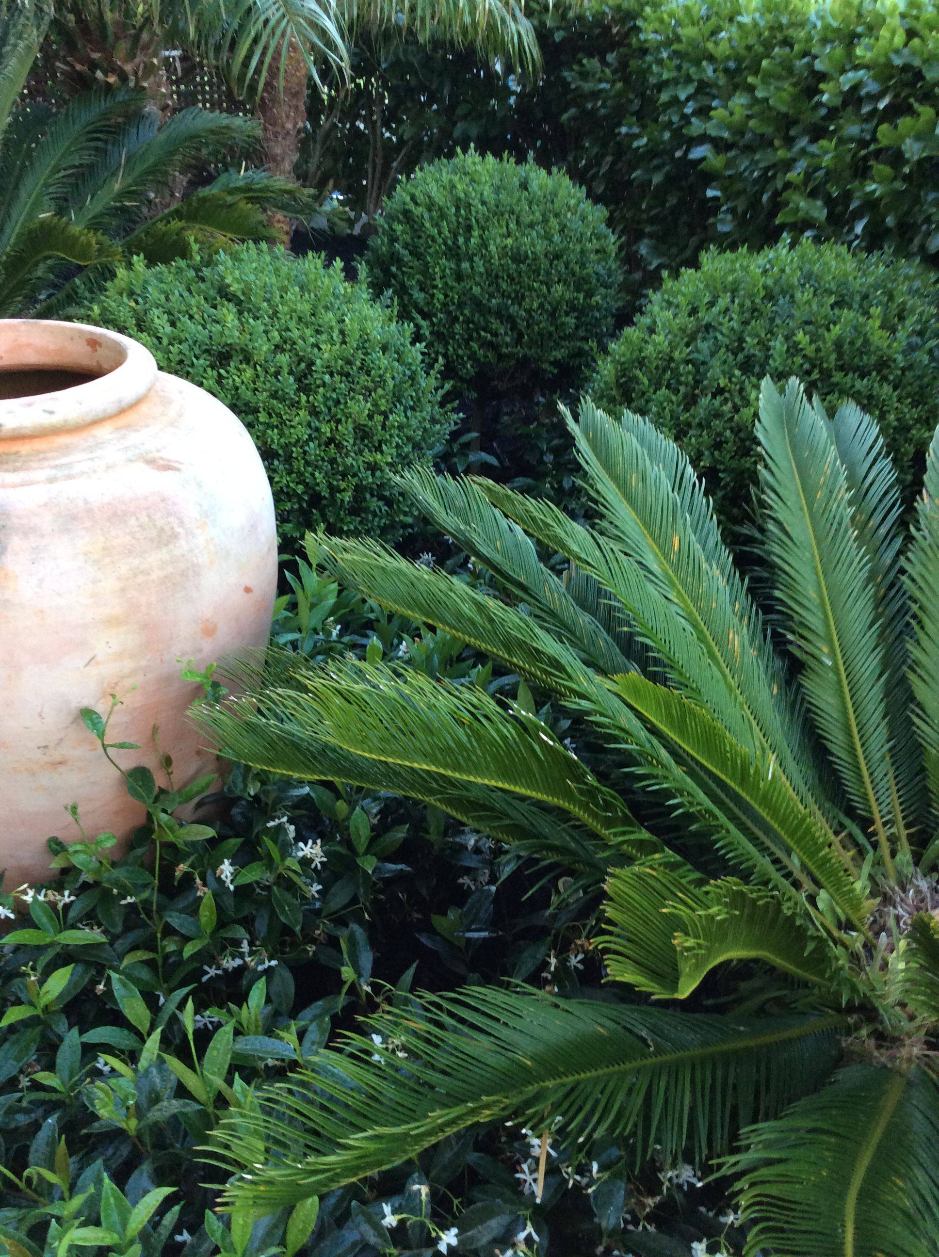 Formal And Tropical Garden Landscape Design
