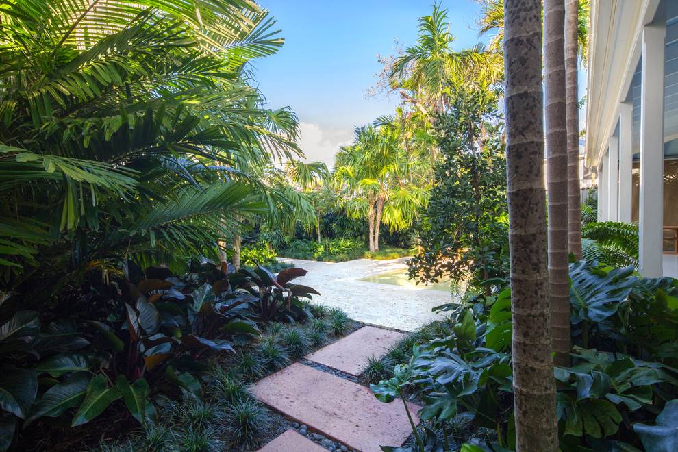 Formal And Tropical Garden Plants