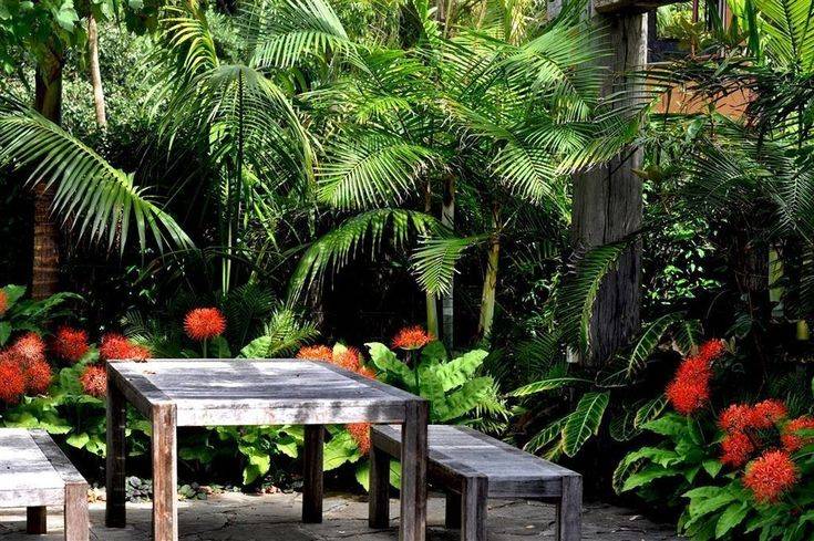 Formal Tropical Garden
