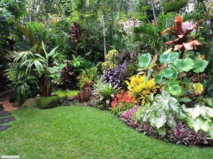 Tropical And Formal Paradise Garden