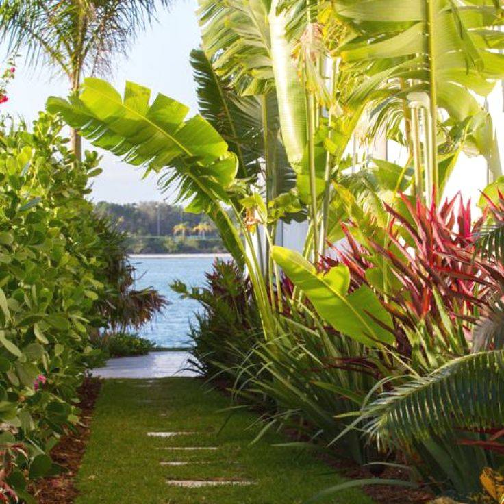 Tropical And Formal Paradise Garden