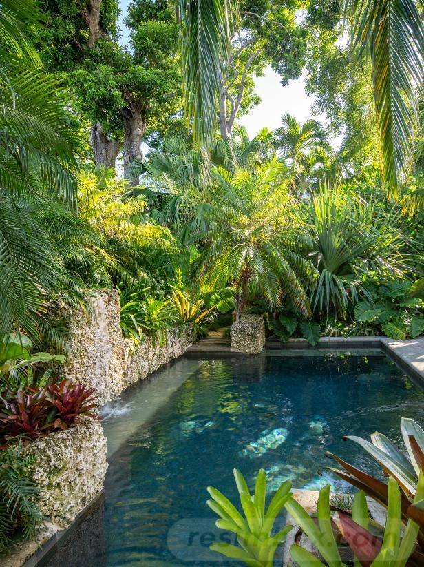 Modern Tropical Garden Design