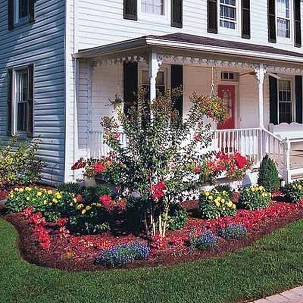 Easy And Cheap Colorful Container Garden Ideas