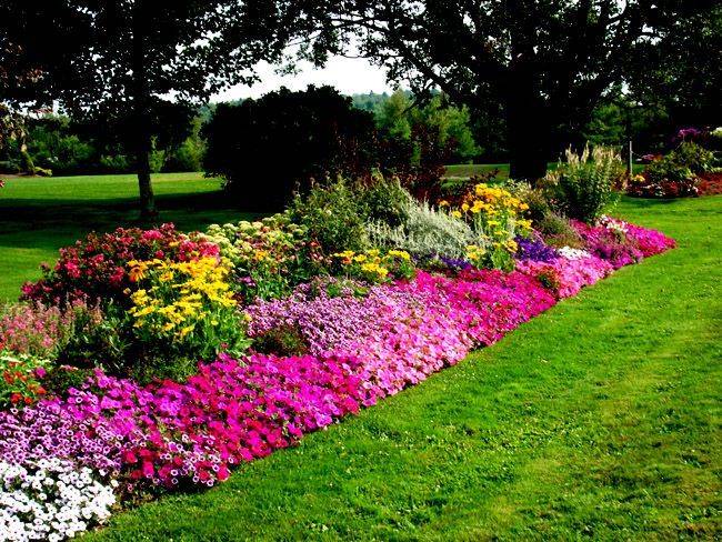 Diy Garden Bed Edging Ideas Page
