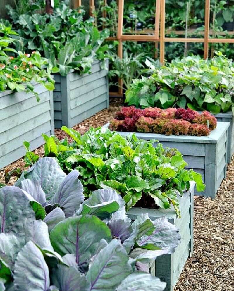 Border Long Narrow Garden Bed Ideas