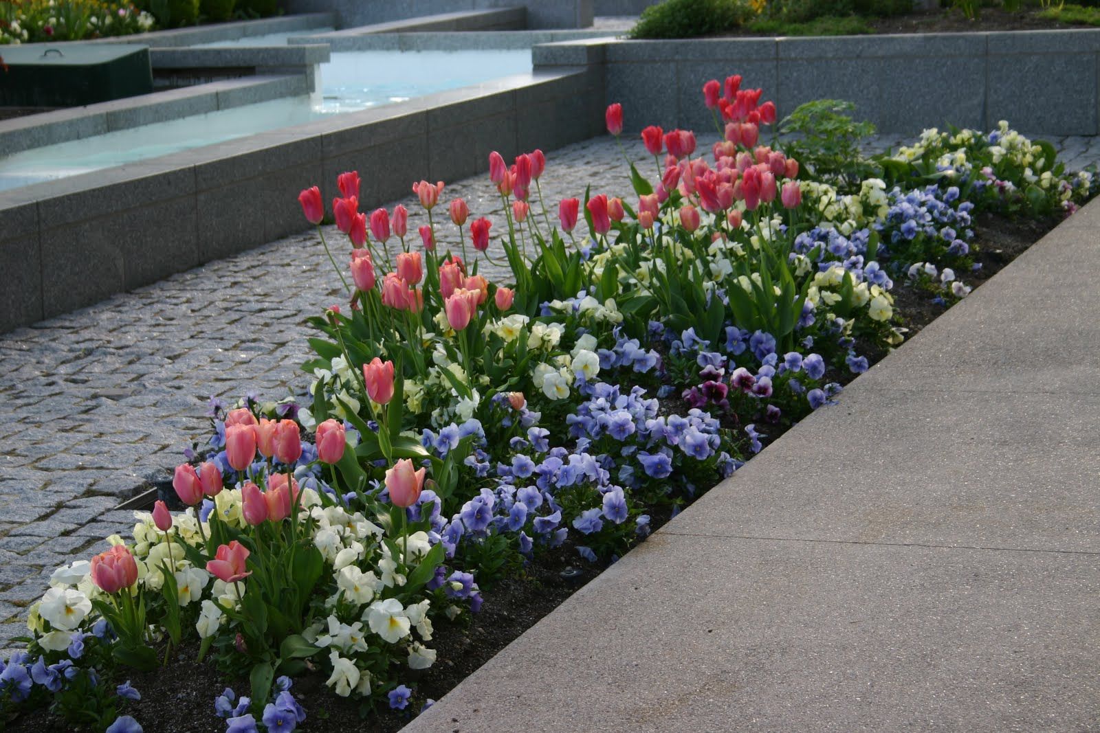 Long Narrow Gardens Awesome Garden Bed