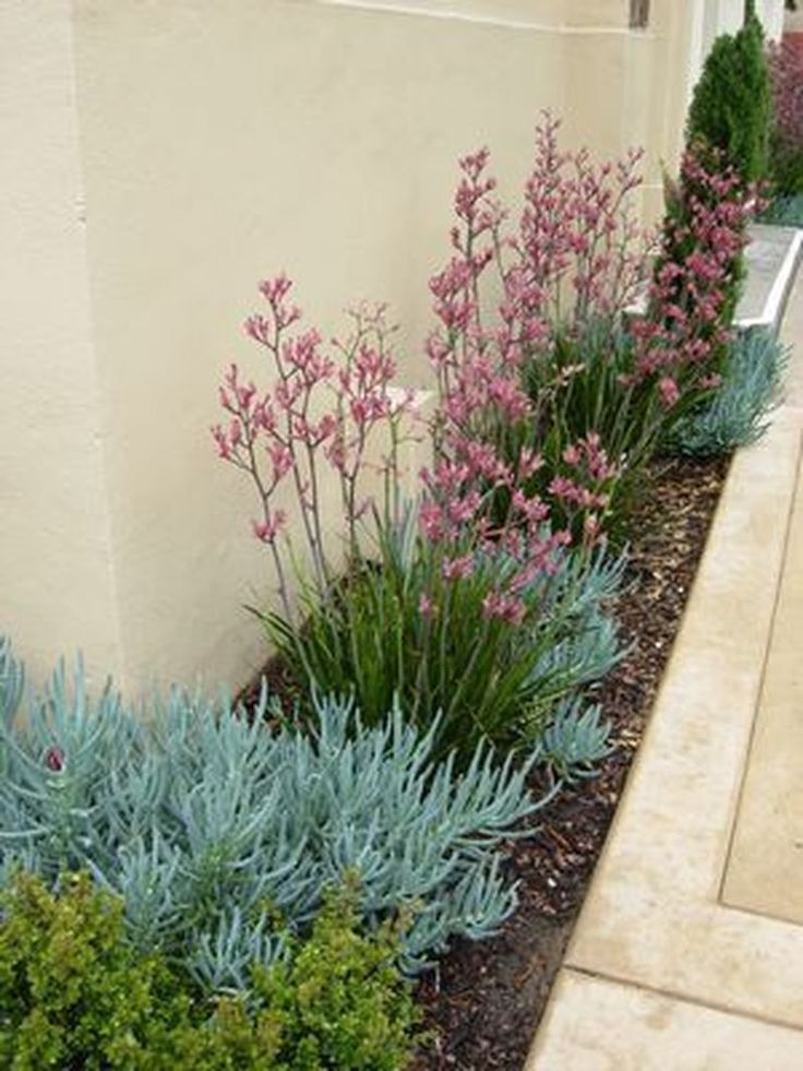 Long Narrow Flower Bed Design Ideas