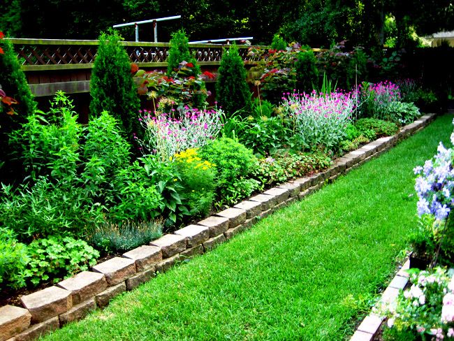 Side Yard Landscape Patio Flower Bed A Narrow Bees Fascinating Journey