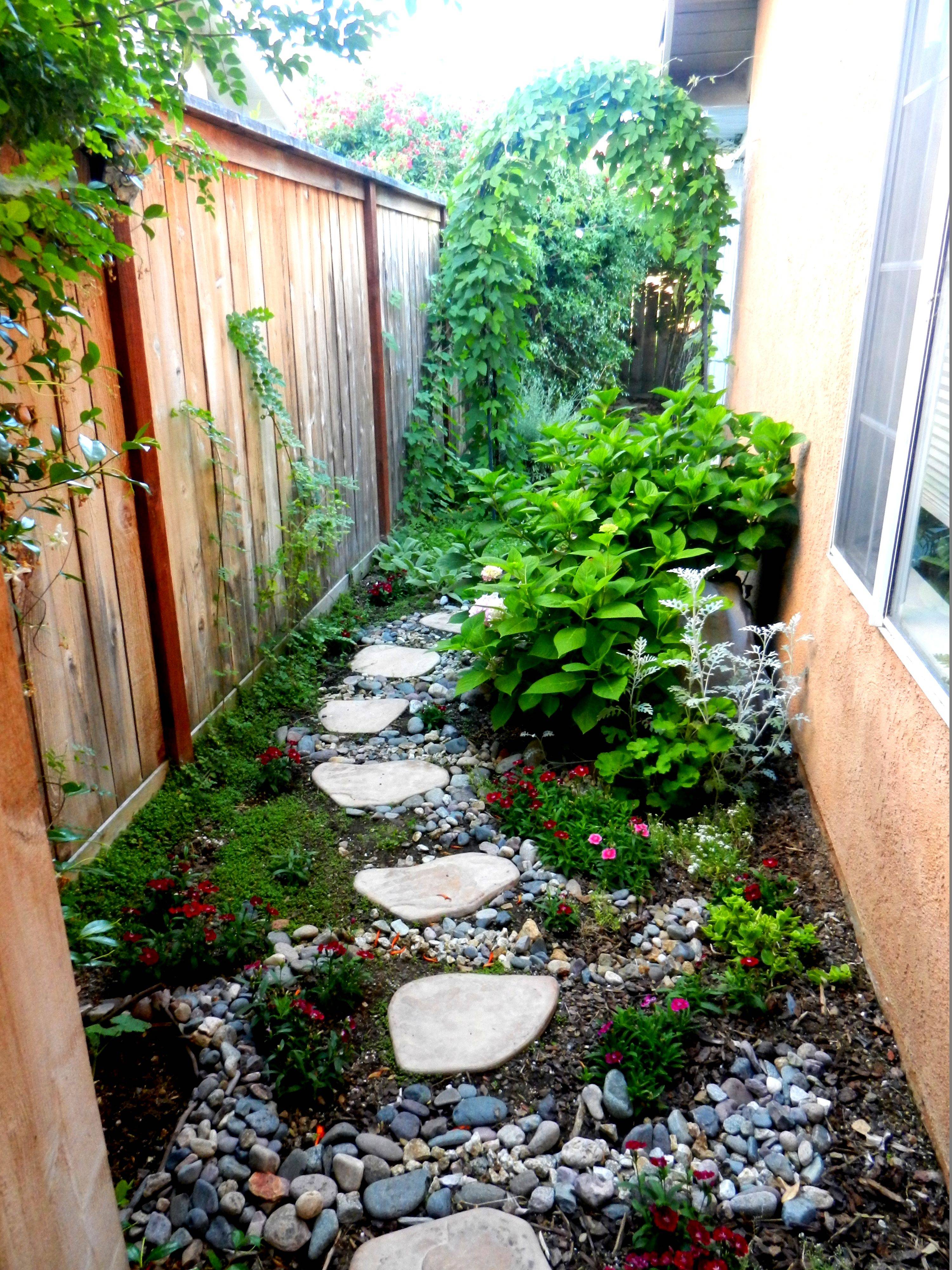 Narrow Side Yard Garden Design