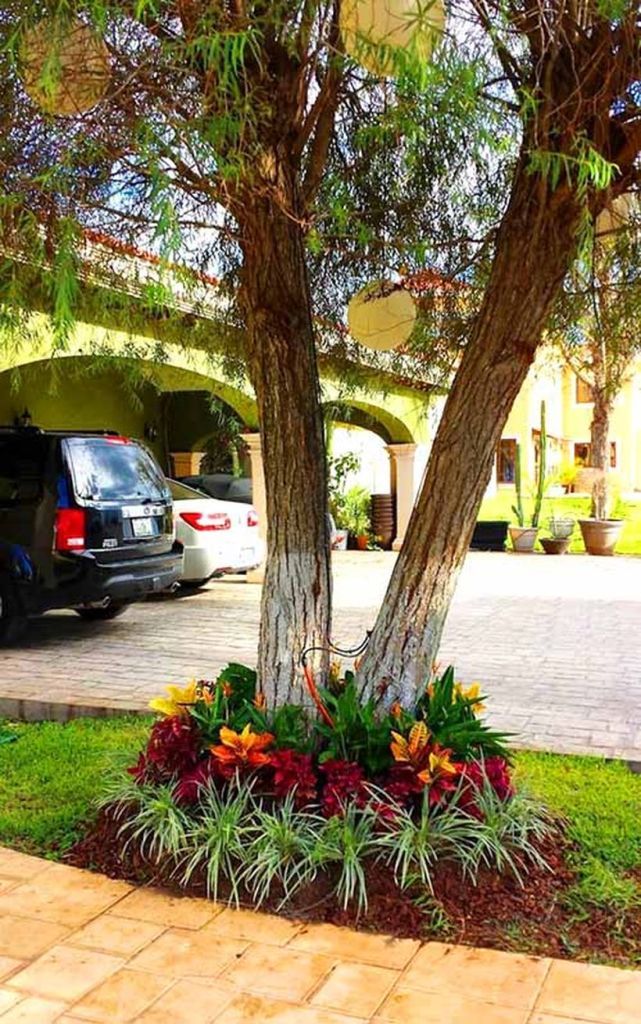 Garden Decorating Ideas