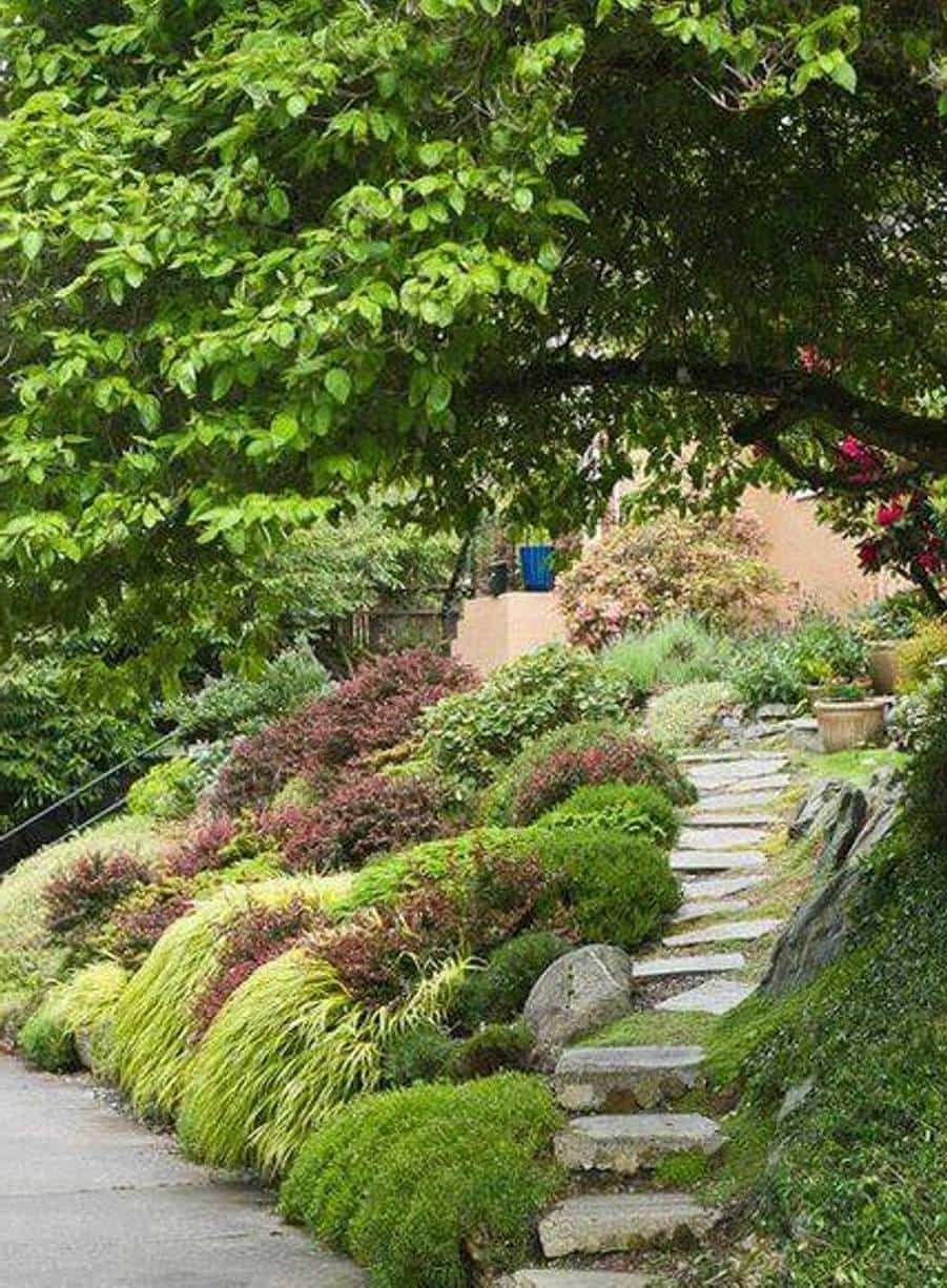 Partaking And Pure Japanese Backyard Design Sloped Garden
