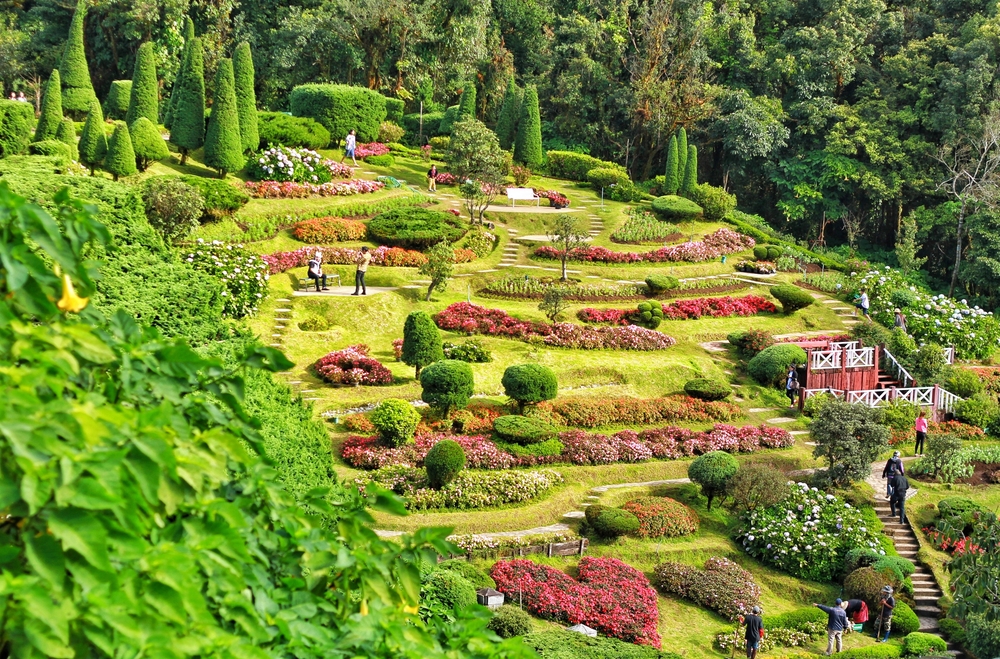Landscaping Hillside