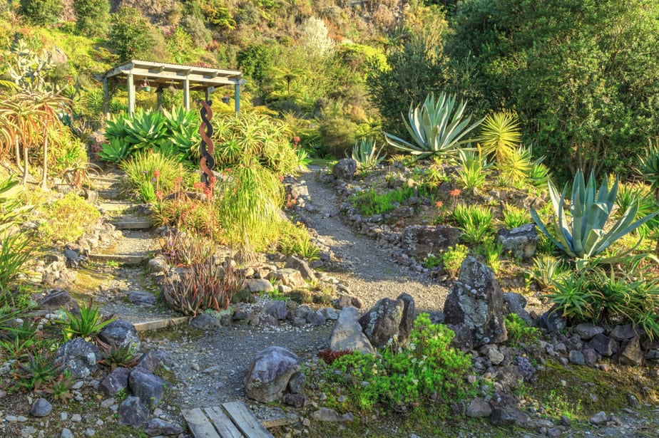 Landscaping Hillside