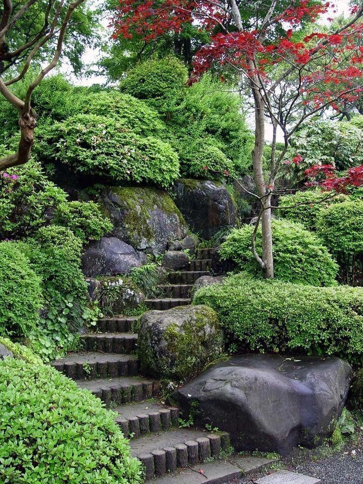A Hillside