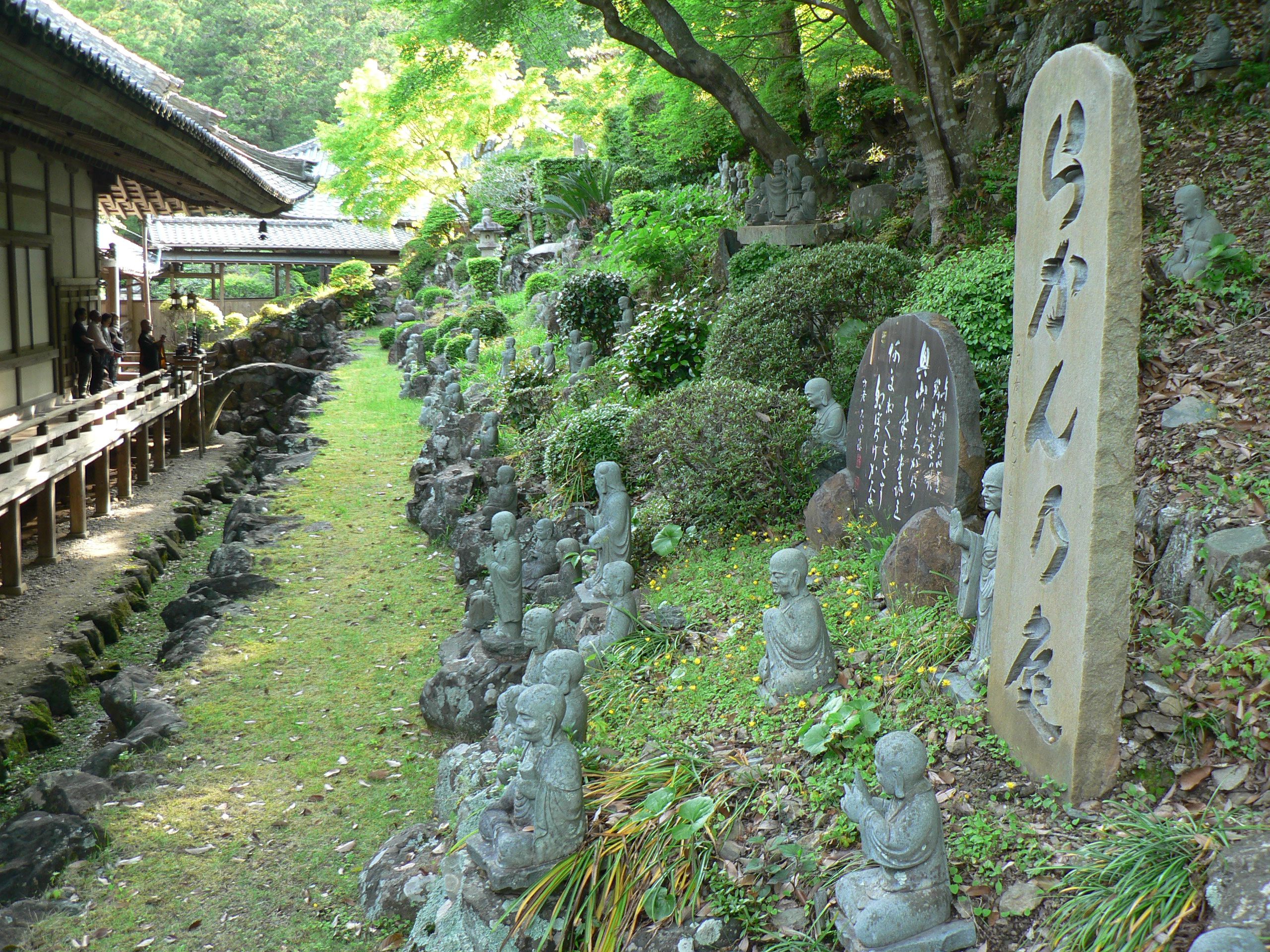 Shady Hillside Garden