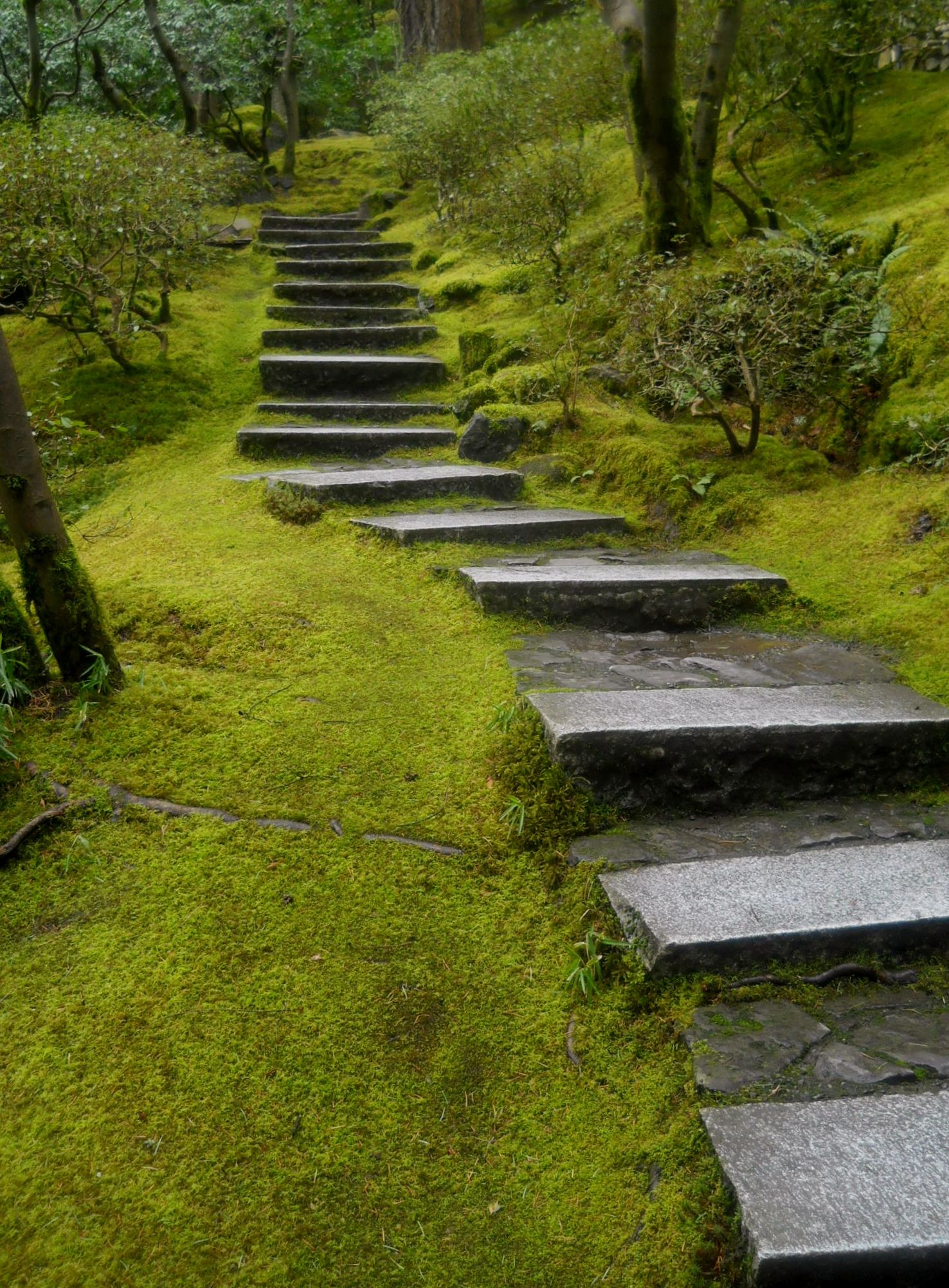 Exceptional Hillside Landscaping Ideas
