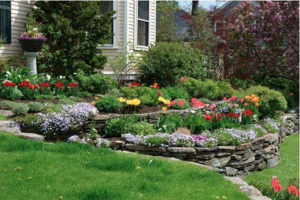 Hillside Landscaping Ideas