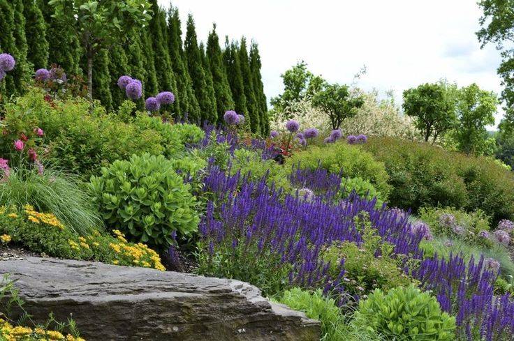 Hillside Landscaping Ideas