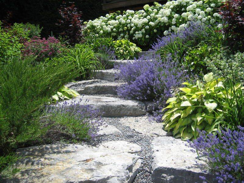 Best Hillside Landscaping Ideas Lake Oconee Boomers