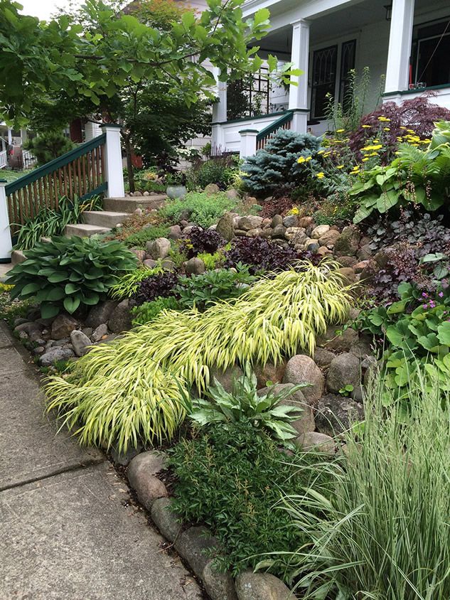 Sunny Hillside Plants Houzz