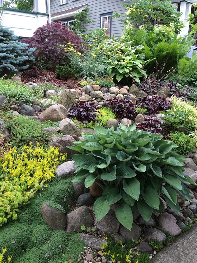 Sunny Landscape Ideas