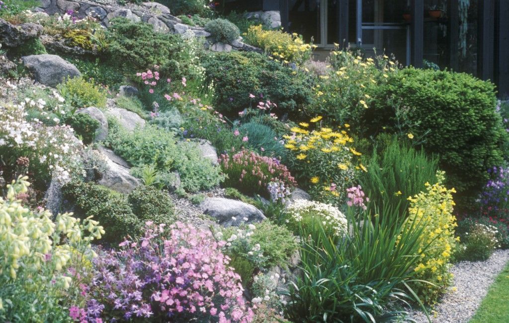 Sunny Perennial Border Traditional Landscape