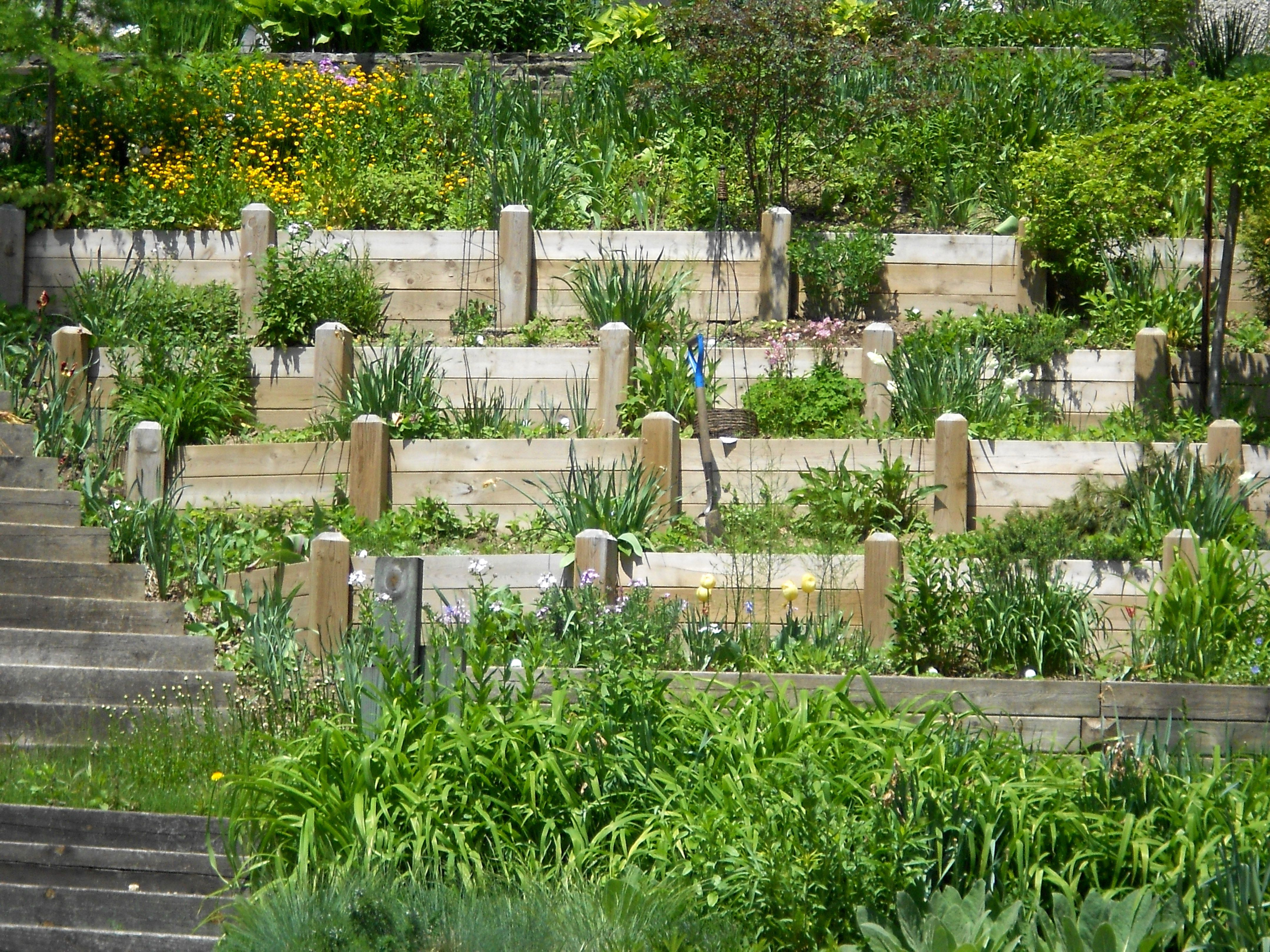 Hmmm Terrace Garden Design