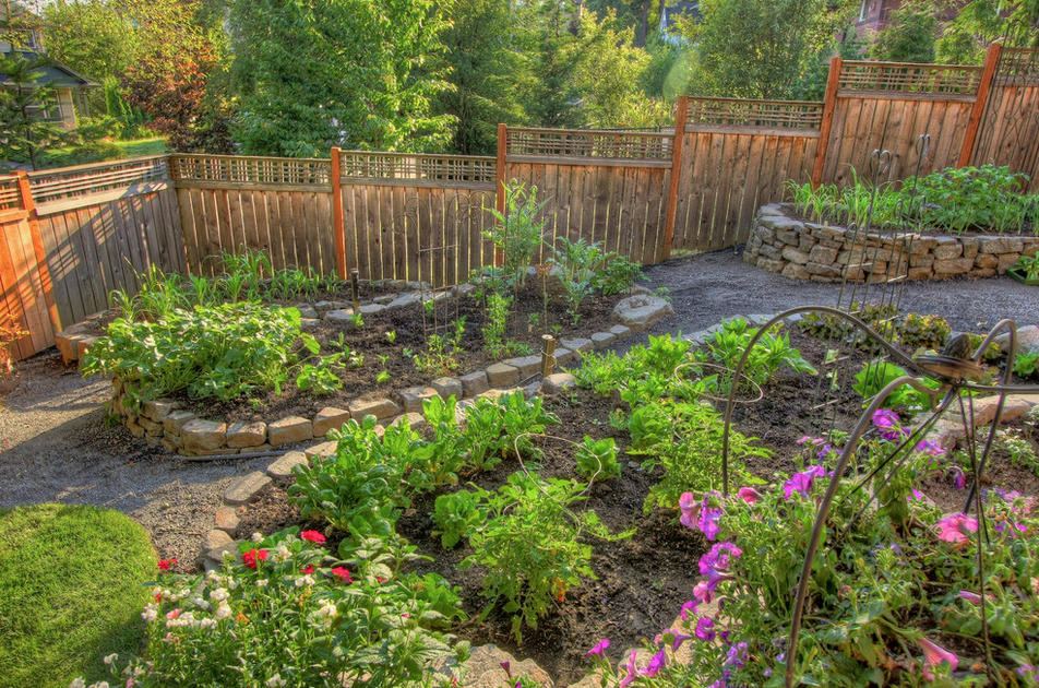 Vegetable Garden