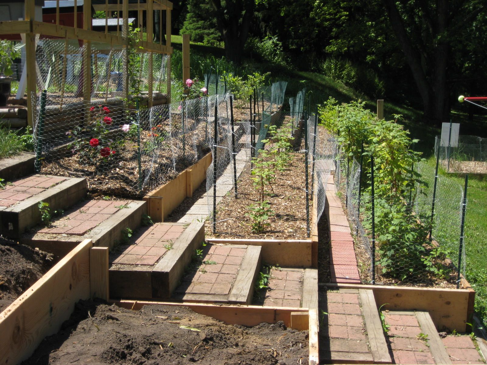 Terrace Raised Vegetable Garden Design Decoredo