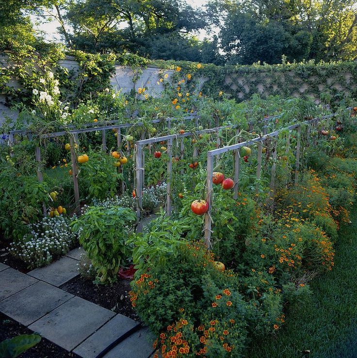 Terraced Cedar Framed Raised Beds Terraced Vegetable Creative Hillside