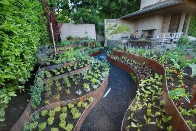 Stunning Balcony Garden