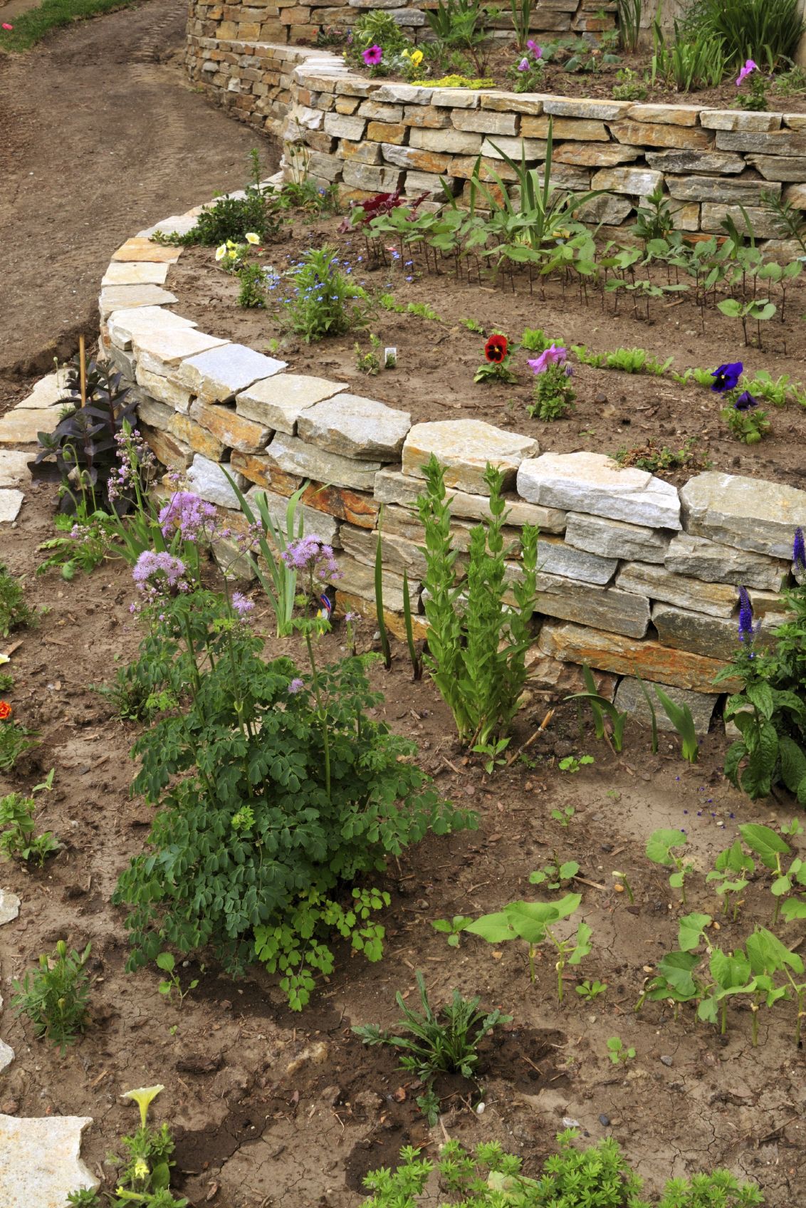 A Sloped Yard Sloped Garden